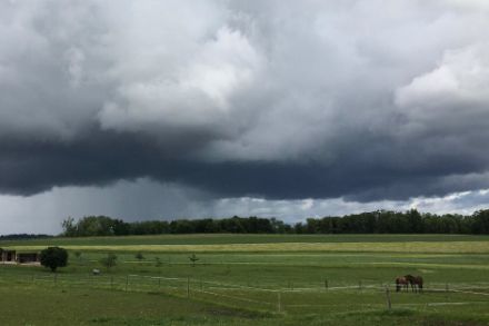 Düstere Schauerwolken ziehen über Corserey (FR) hinweg. Foto: Meteomeldungen/App