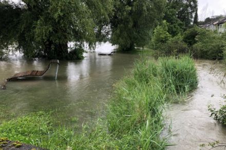 Der anhaltende Regen liess einige Gewässer über die Ufer treten, wie hier die Limmat bei Oetwil an der Limmat. (Bildquelle: Meteomeldungen/App)