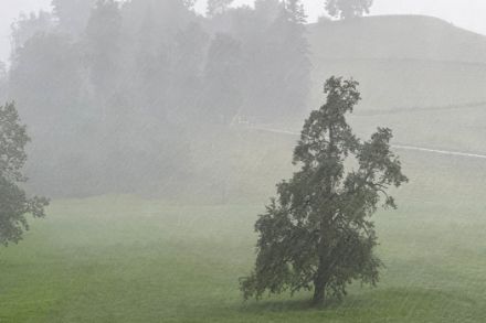 Abbildung 1: Regenschauer in der Region Schachen LU am 6. Juli 2024. Quelle: Meteomeldung / App MeteoSchweiz