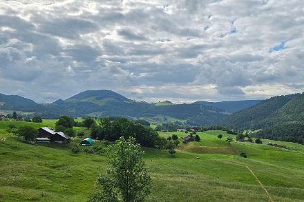 Nördlich der Alpen blieb die Bewölkung meist recht dicht, dennoch war der Wettercharakter freundlich, so beispielsweise in Mümliswil (SO). Bildqulle: Meteomeldungen/App.