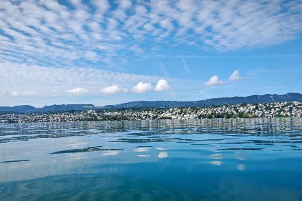 Aufnahme des Zürichsees von Kilchberg aus heute Morgen. Quelle: Meteomeldung/App.