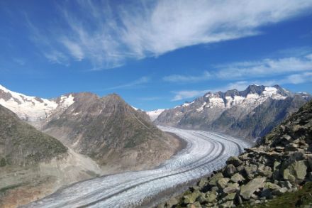 Aletschgletscher aufgenommen von der Bettmeralp