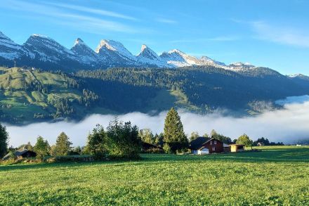 Blick von Wildhaus auf die Churfirsten und das obere Toggenburg. Bild: Meteomeldung MeteoSchweiz App
