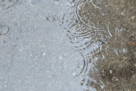 Auch im sonst meist trockenen Wallis regnete es heute häufig und ergiebig, wie hier in Sitten. Bildquelle: Meteomeldungen/App.
