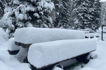 34 cm Neuschnee heute Morgen in Arosa (Bild: Meteomeldung/App)