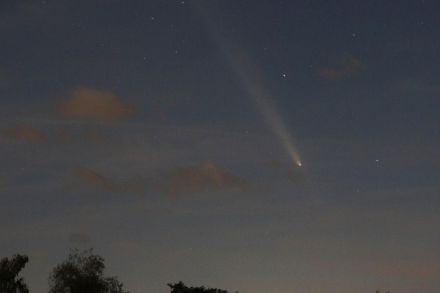 Erfolgreiche Kometen-Sichtung über Alle (Kt. Jura) am Montagabend. Meteomeldung / App