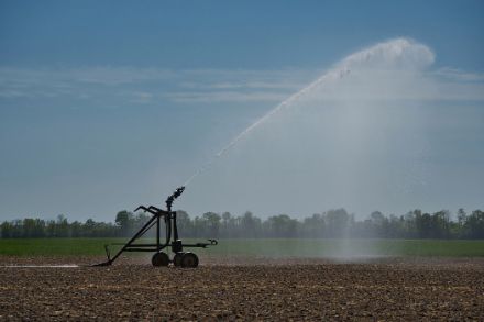 Bewässerungssystem im einem Feld