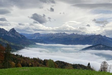 Blick vom Steinerberg, SZ über die neblige Region Schwyz hinweg zum zentralen Alpennordhang, wo eine typische Föhnstimmung herrscht. Bild: Wettermeldung, MeteoSchweiz App