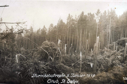 Der Föhnsturm vom 4. und 5. Januar 1919 war in den östlichen Voralpen da und dort derart beeindruckend, dass sogar Postkarten erstellt wurden. Bildquelle: www.stade-auktionen.de und www.ansichtskarten-center.de