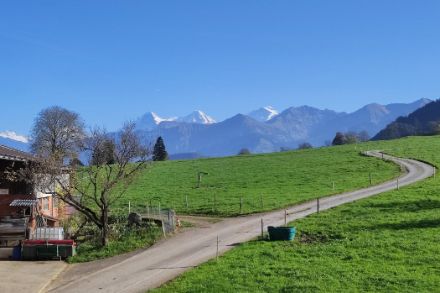 Sonniger und sehr milder erster Novembertag in Reutigen (BE) mit Eiger, Mönch und Jungfrau im Hintergrund. Quelle: Meteomeldungen/App
