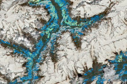 Darstellung des Vegetationsindex VHI in der Region Amsteg mit dem Maderanertal am 10.05.2024.