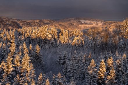 Winter-Wunderland nähe Winterthur am Morgen vom 22. November.
