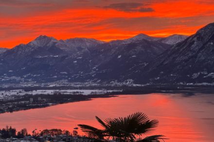 Warmfrontbewölkung am Morgen über Orselina TI. Bild: Meteomeldungen/App