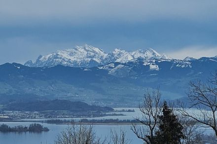 Wie üblich bei Warmfronten zeigte sich das Wetter infolge dichter Schichtbewölkung grau in grau wie hier in Wädenswil. Bildquelle: Meteomeldungen/App. 