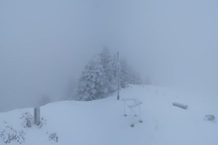 Auf dem Wildspitz, 1580 m (ZG, SZ) sorgten etwas Neuschnee und Raueisablagerungen heute Vormittag für einen winterlichen Eindruck.