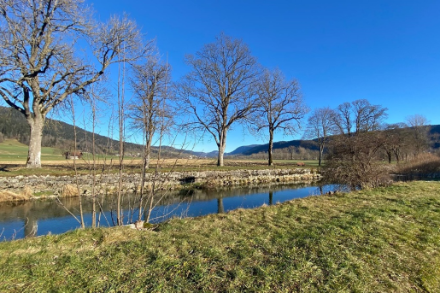 Idyllische Landschaft mit stahlblauem Himmel bei Fleurier, im Neuenburger Jura. Quelle: Meteomeldungen/App