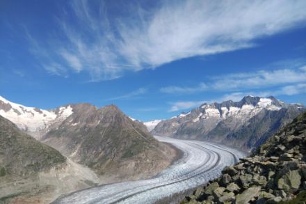 Blick auf den Aletschgletscher im August 2024. 