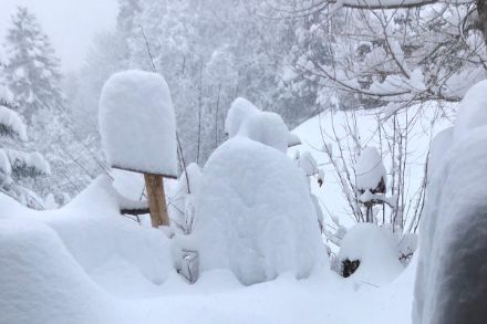 Im Berner Oberland lag heute vielerorts ein mächtige Schneedecke, wie hier in Adelboden. Bildquelle: Meteomeldungen/App