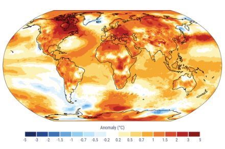 Weltkarte zur globalen Temperaturverteilung im Jahr 2024.