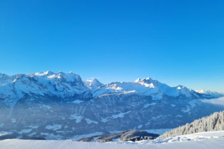 Prachtswetter am Montagmorgen in Hasliberg. Bild: Meteomeldungen/App