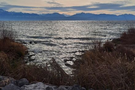 Der kräftige Südwestwind sorgte am Donnerstagvormittag auf dem Genfersee für kleine Wellen. Blick von Préverenges über den Genfersee Richtung Süden. Foto: Meteomeldung/App