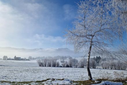 Weisse Landschaft mit Baum. Himmel mit Wolkenfetzen.