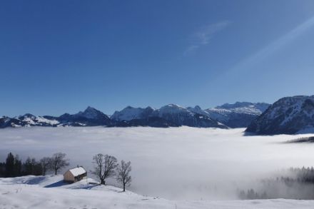 In den nächsten Tagen herrscht Hochdruckwetter. Und danach? Bild aus Vorderthal SZ am 2.2.2 2025 (Foto: Meteomeldungen/App)
