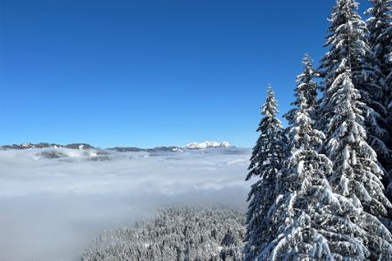 Schneelandschaft mit Nebelmeer und blauem Himmel.