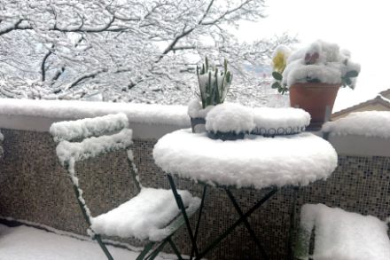 In Luzern lag heute Vormittag sogar eine Schneedecke von 10 cm Mächtigkeit. Bildquelle: Meteomeldungen/App