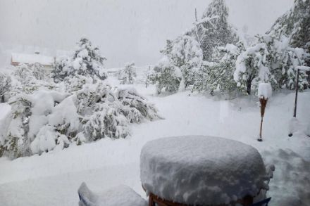 Viel Neuschnee in Chalais VS heute Morgen um 07:45 Uhr. Bild: App/Meteomeldung