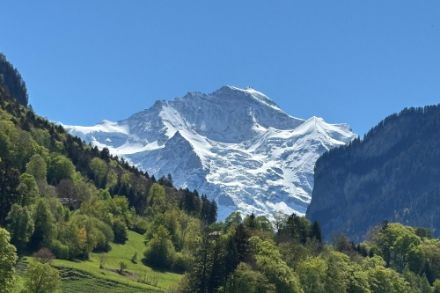 Typisches Frühlingsfoto, oben noch weiss, unten schon saftig grün. Foto aus Wilderswil mit der Jungfrau im Hintergrund. Foto: Meteomeldungen/App
