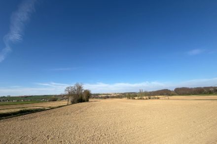 Blick über ein trockenes kahles Feld bei Sonnenschein und blauem Himmel. 