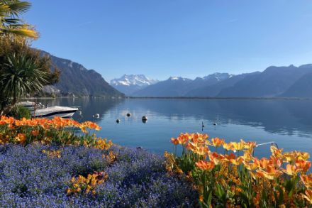 Gestern und heute schien die Sonne meist von einem wolkenlosen Himmel, so wie hier in Montreux am Donnerstagnachmittag.