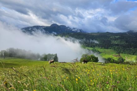 Wechselhaftes Maiwetter bei Alt St. Johann im Toggenburg. Bild: Meteomeldungen/App