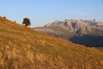 Trockenheit im Sommer 2022, Blick vom Chli Aubrig zum Glärnischmassiv.