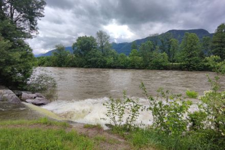 Hochgehender Fluss mit braunem Wasser und wolkenverhangenem Himmel.