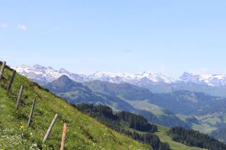 Am Alpennordhang war es am Vormittag vierorts meist sonnig, wie hier beim Aufstieg zum Aubrig im Wäggital (SZ). Bild: Daniel Gerstgrasser.