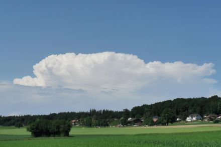 Sommerliche Verhältnisse am letzten Frühlingstag auch in Schongau LU (Bild: Meteomeldungen/App)