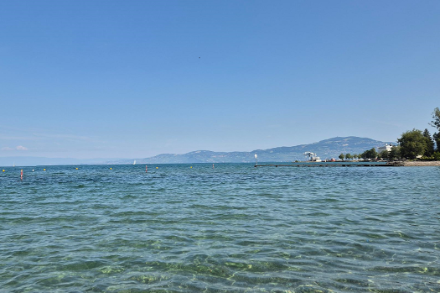 Der Genfersee am 5. Juli 2025, aufgenommen von Le Bouveret aus. Zu diesem Zeitpunkt betrug die Wassertemperatur des Sees an dieser Stelle etwa 25 Grad. 