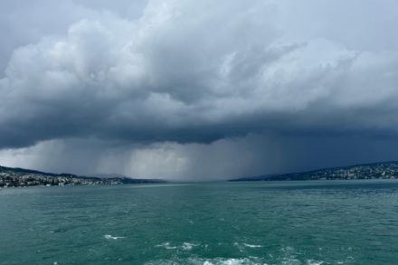 Kräftiger Schauer am 27.07.2025 bei Horgen am Zürichsee. Bild: Meteo Meldungen, MeteoSwiss App