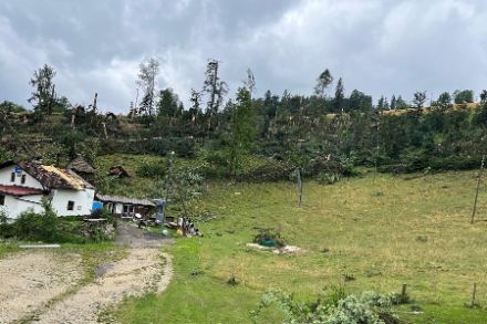 Superzellen wirken sich oft verheerend auf Gebäude und Wälder aus, wie hier in La Chaux-de-Fonds am 24. Juli 2023.