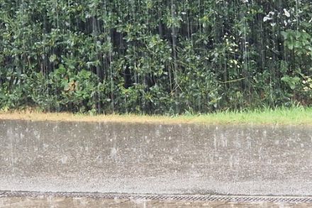 Regen in Oberschrot (FR).