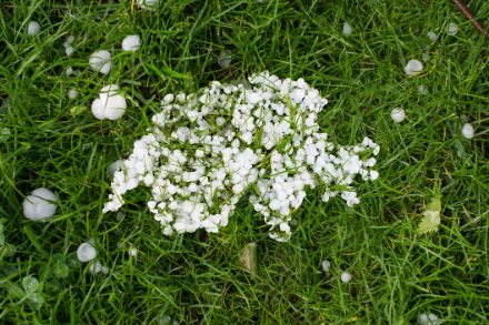 Viele verschieden grosse Hagelkörner in Form der Schweiz auf einer grünen Wiese.