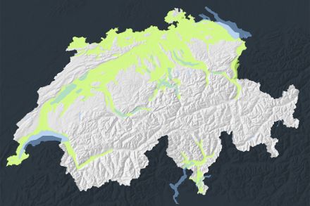 Prognoseregionen